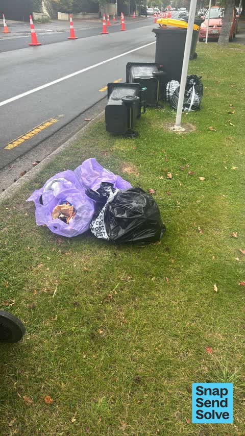 Rubbish and Bins - General, a report photo