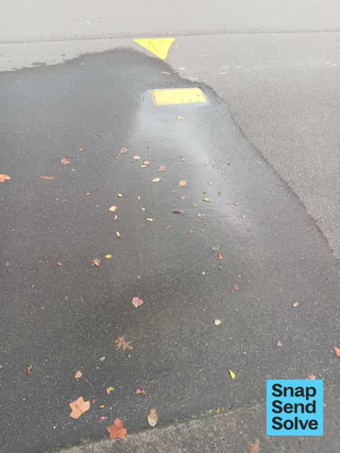 Water Leak, a report photo