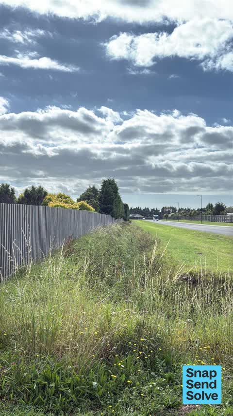 Overgrown Vegetation, a report photo