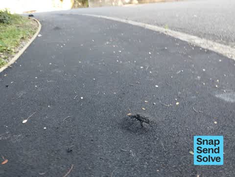 Pavement - Damaged, a report photo