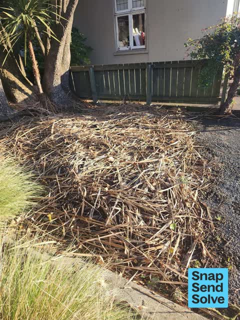 Overgrown Vegetation, a report photo