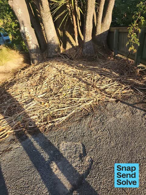 Overgrown Vegetation, a report photo