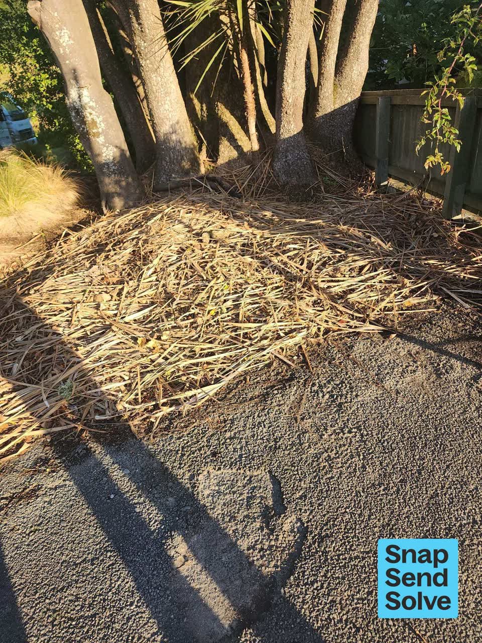 The photograph attached to this overgrown vegetation report