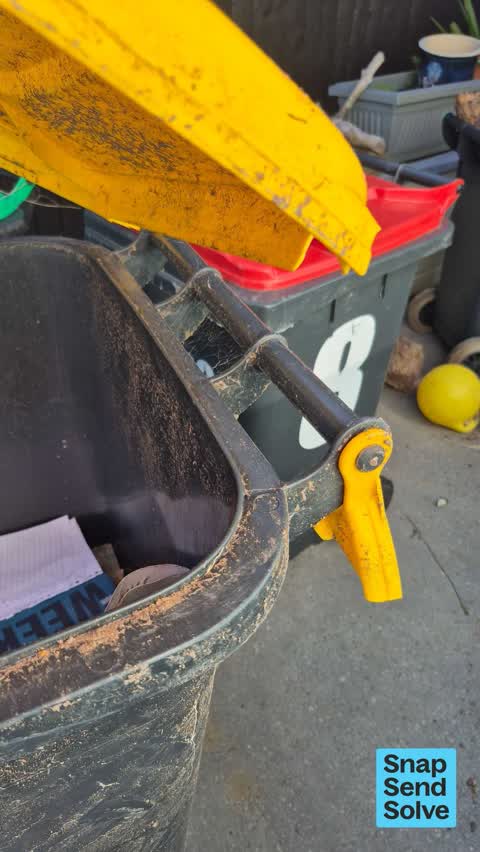 Rubbish and Bins - General, a report photo