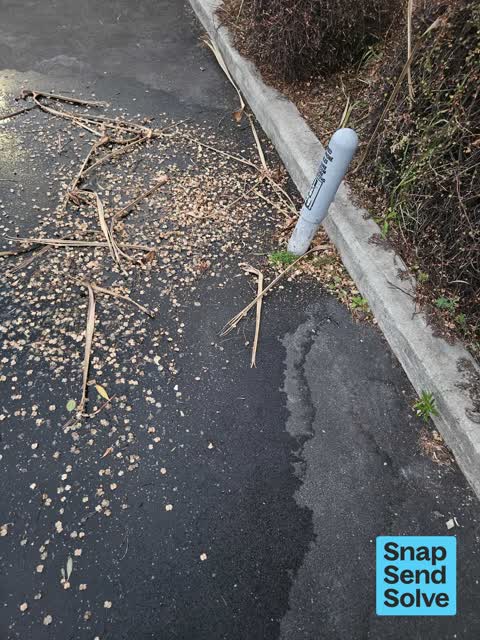 Water Leak, a report photo