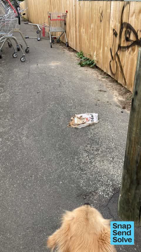 Litter, a report photo