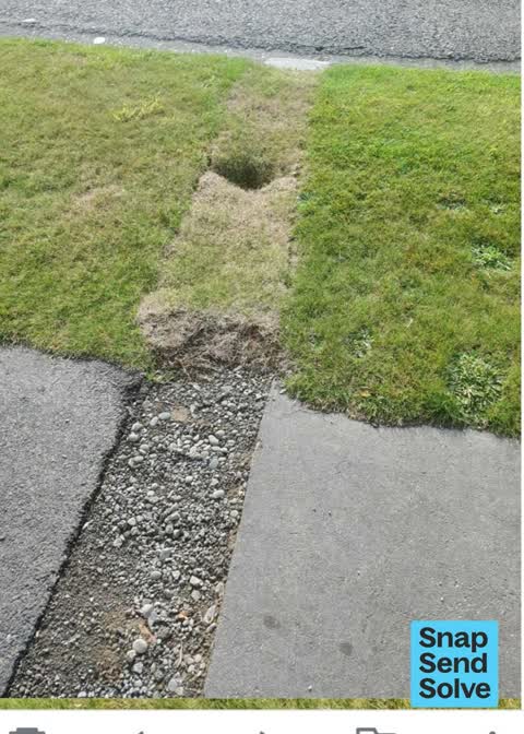 Pavement - Damaged, a report photo