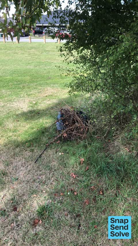 Dumped Rubbish, a report photo