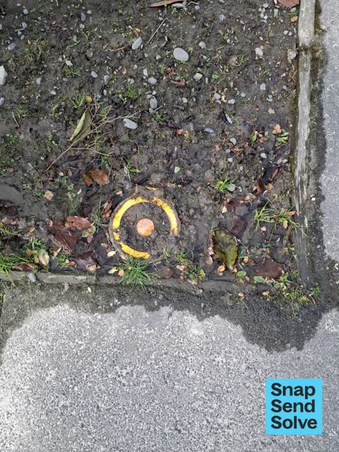 Water Leak, a report photo