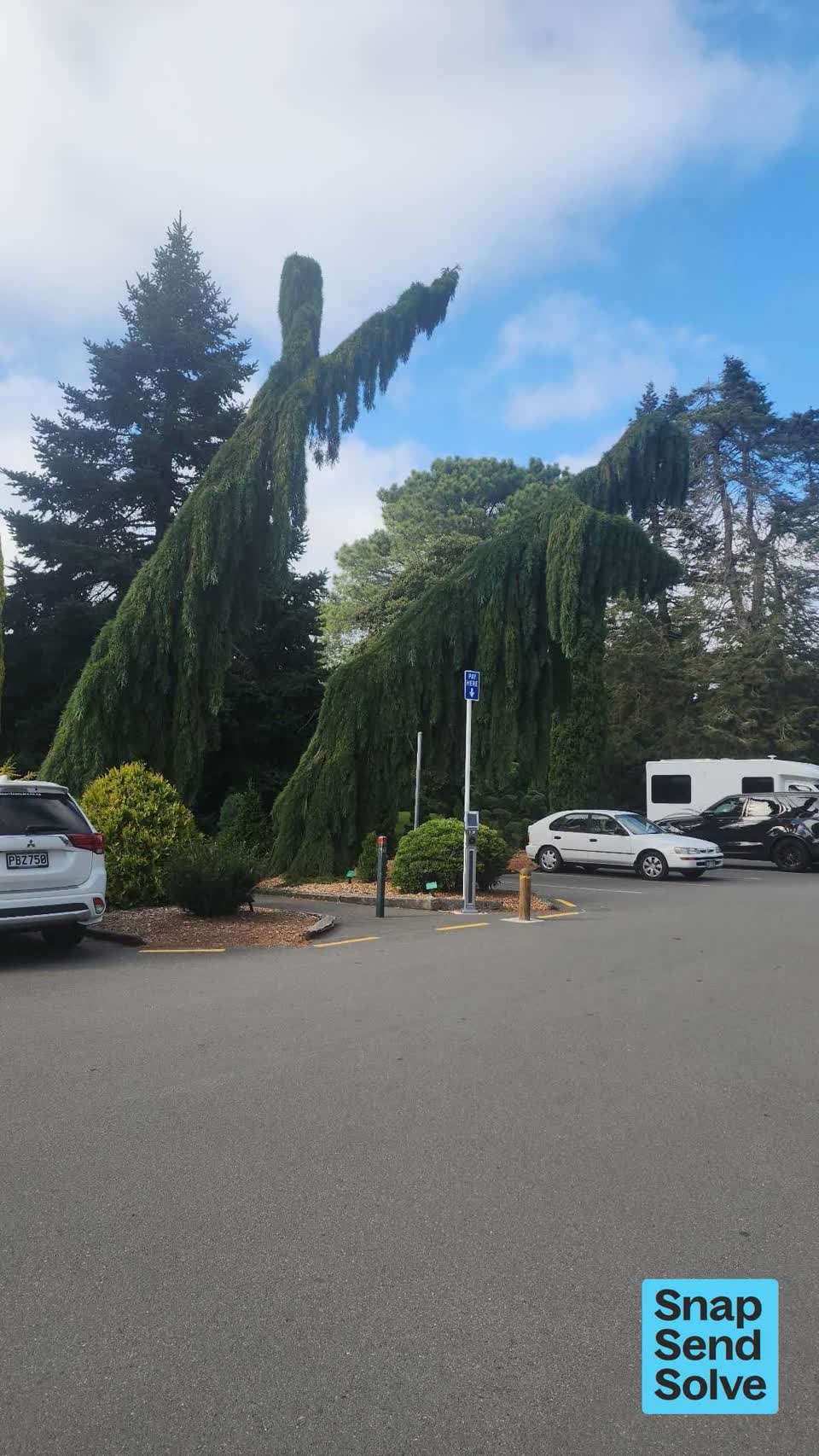 The photograph attached to this park - general request report
