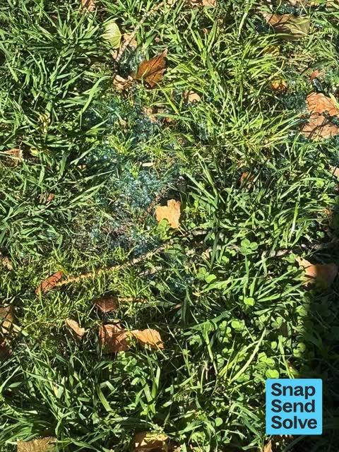 Park - General Request, a report photo