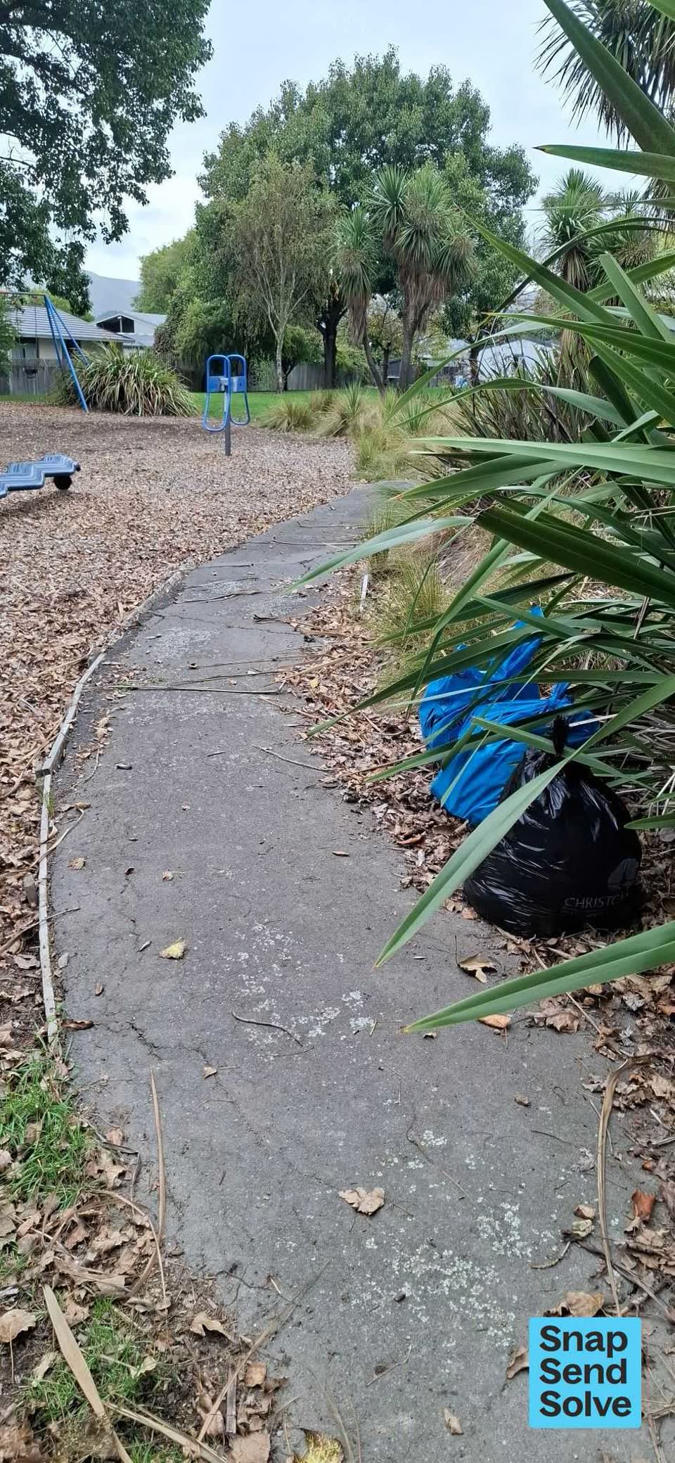The photograph attached to this dumped rubbish report