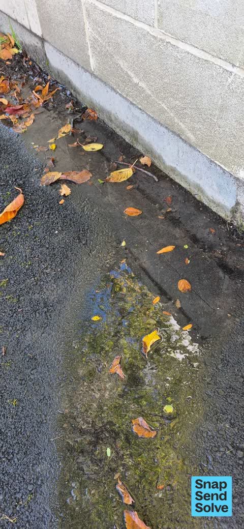Flooding, a report photo