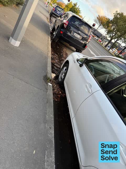 Street Gutters / Storm Water, a report photo