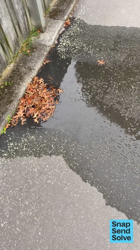 Water Leak, a report photo