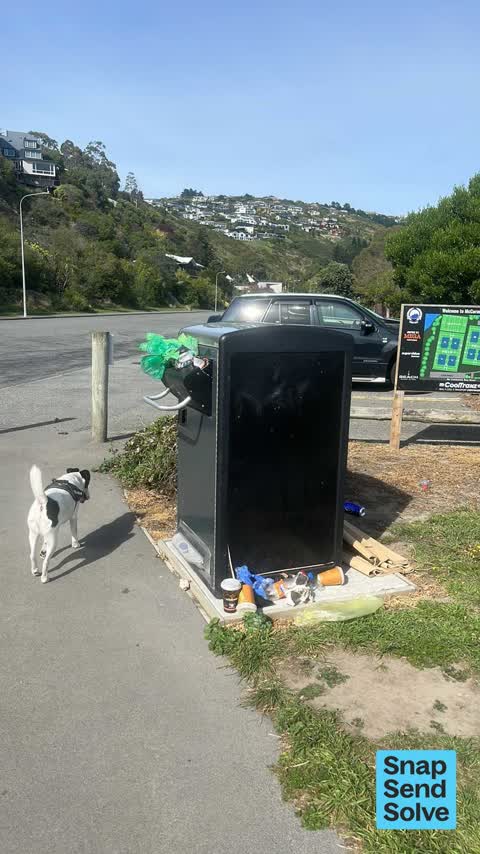 Rubbish and Bins - General, a report photo