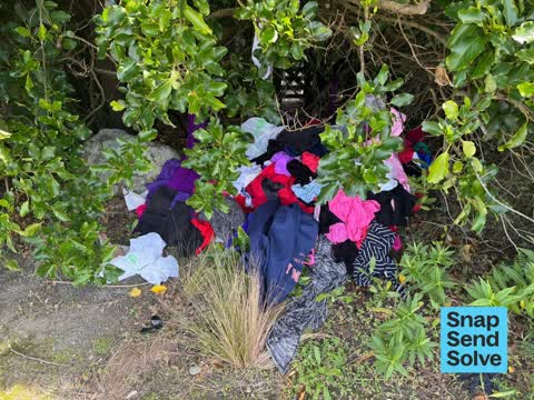Litter, a report photo