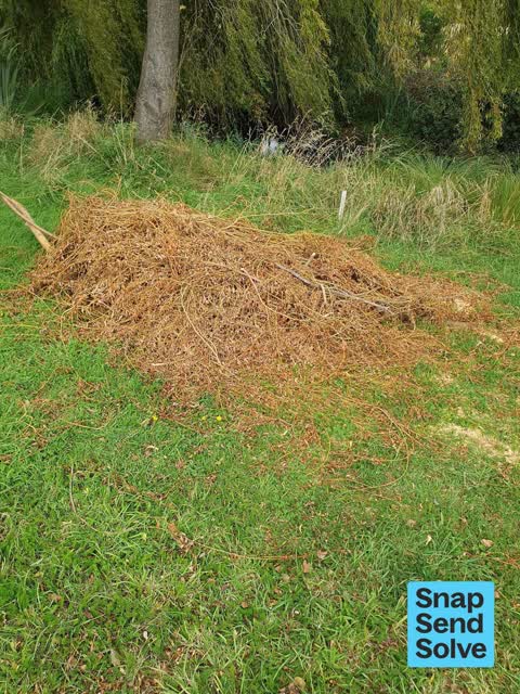 Dumped Rubbish, a report photo