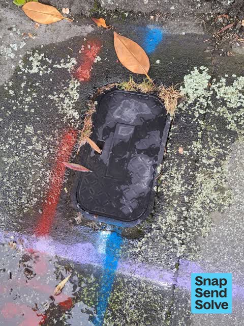 Water Leak, a report photo