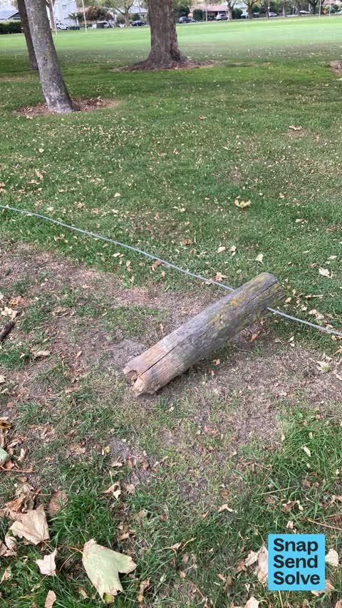 Park - General Request — a report photo