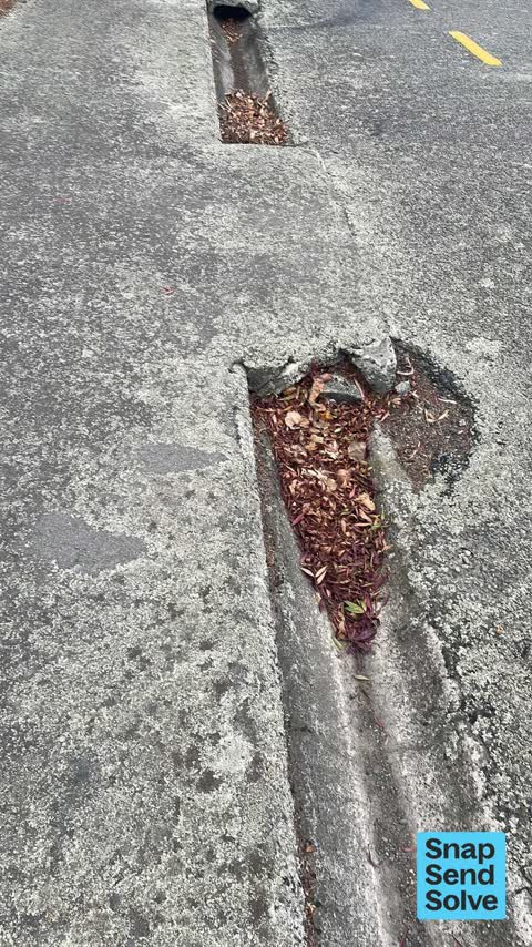 Street Gutters / Storm Water — a report photo