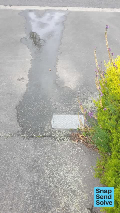 Water Leak, a report photo