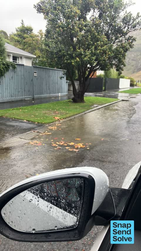 Street Gutters / Storm Water, a report photo