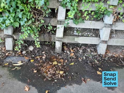 Water Leak — a report photo