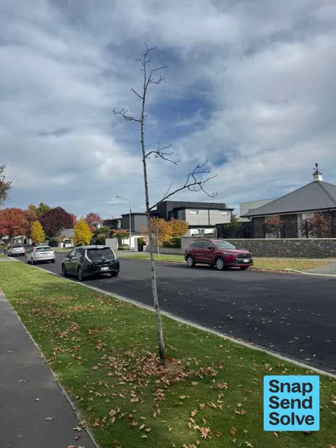 Facility - General Request, a report photo