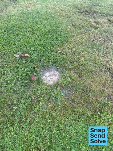 Water Leak, a report photo