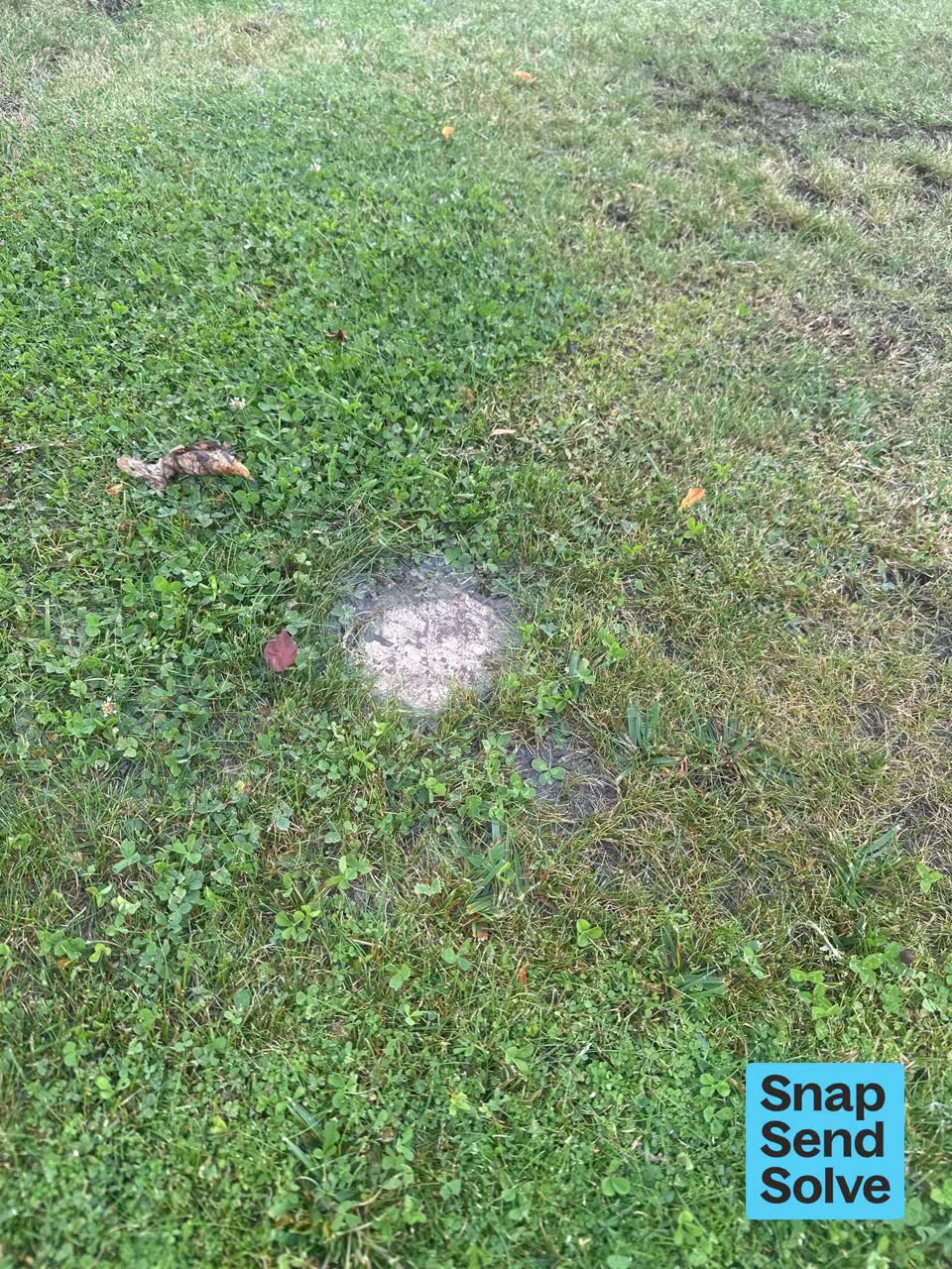 The photograph attached to this water leak report