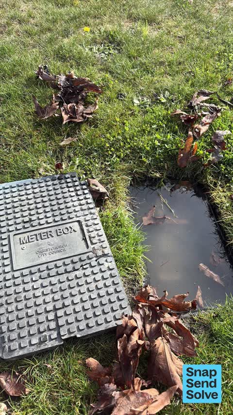 Water Leak, a report photo