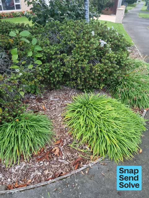 Pest / Vermin, a report photo