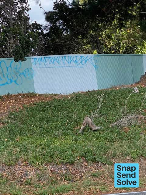 Graffiti on a fence, building or structure, a report photo