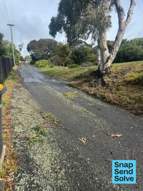 Trees - General, a report photo