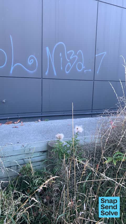 Graffiti on a fence, building or structure — a report photo