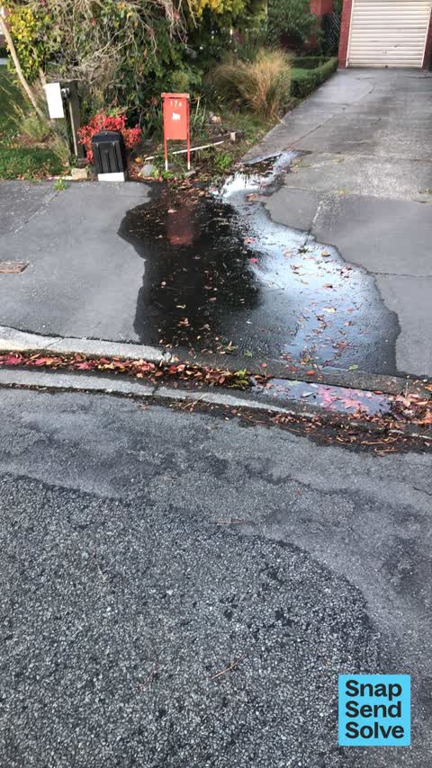 Water Leak, a report photo
