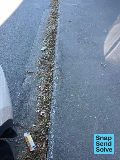 Litter, a report photo