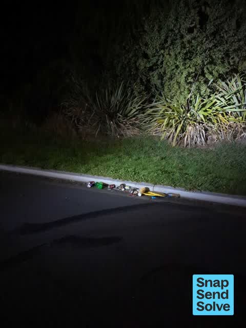Dumped Rubbish — a report photo