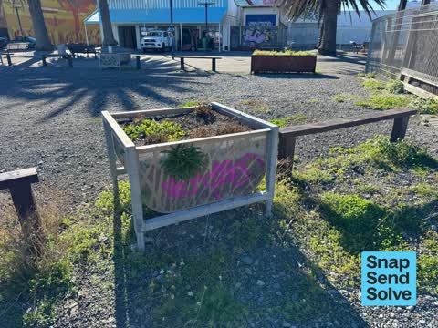 Graffiti on a fence, building or structure — a report photo