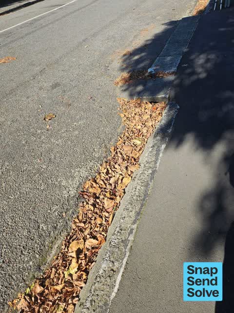 Street Gutters / Storm Water, a report photo