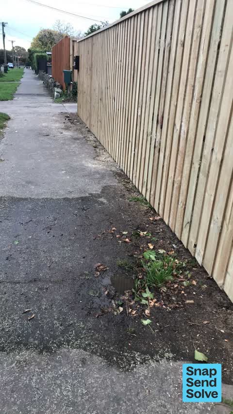 Water Leak, a report photo