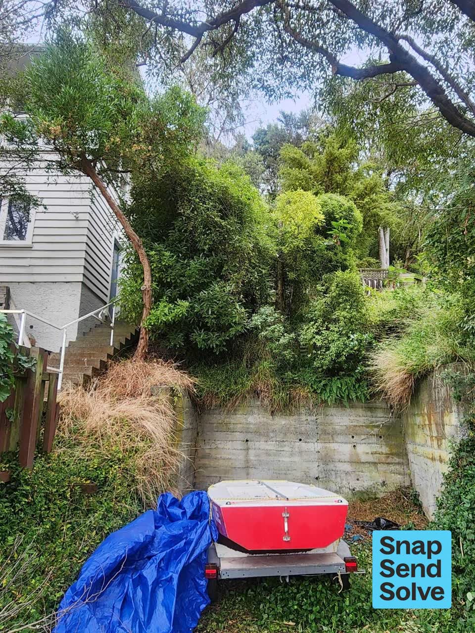 The photograph attached to this overgrown vegetation report