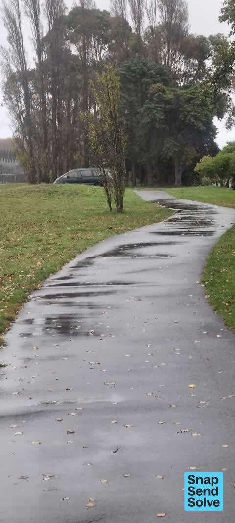 Park - General Request, a report photo