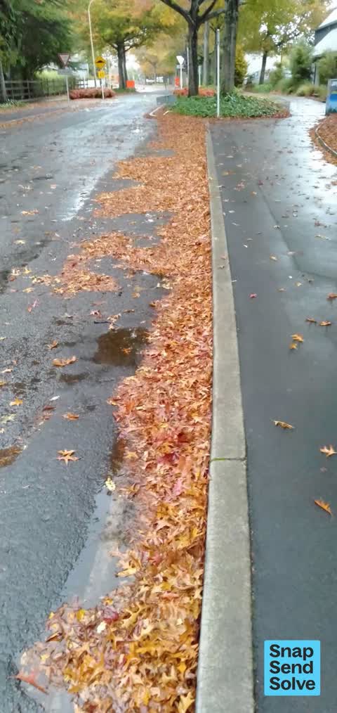 Street Gutters / Storm Water, a report photo