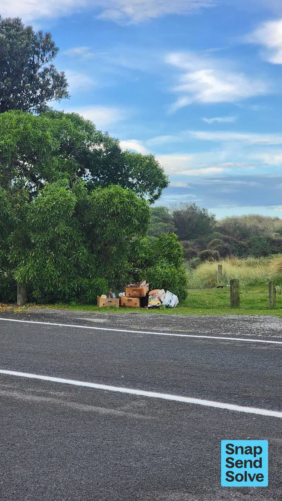 The photograph attached to this dumped rubbish report