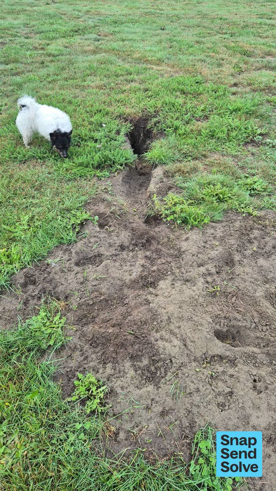 The photograph attached to this park - general request report