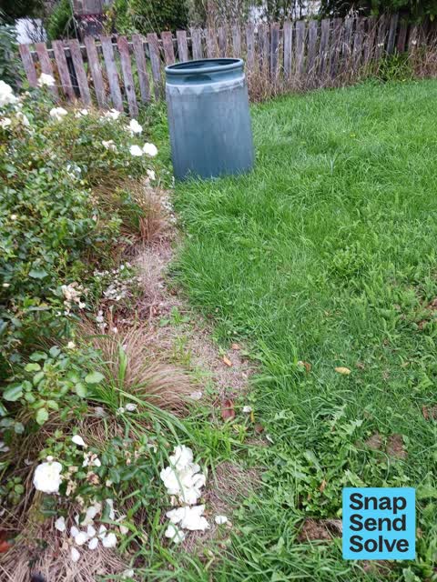 Dumped Rubbish, a report photo