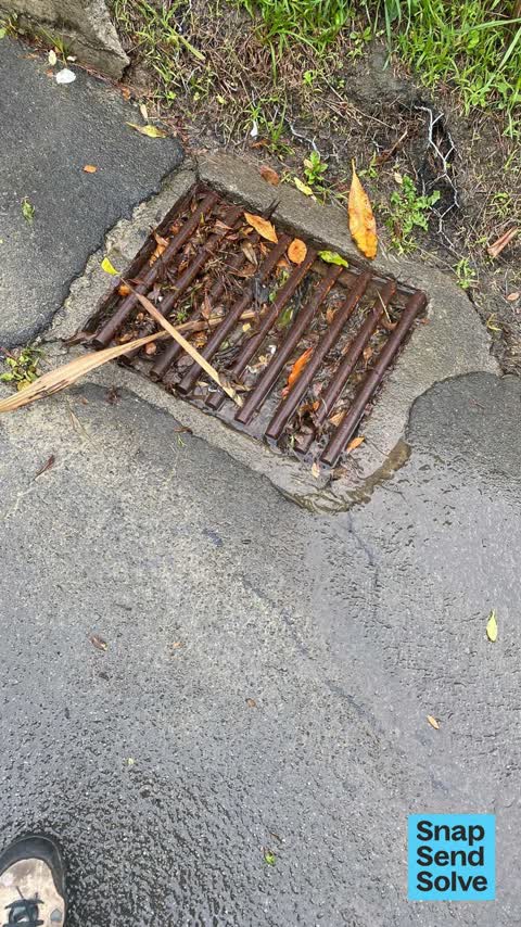 Street Gutters / Storm Water, a report photo