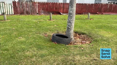 Dumped Rubbish, a report photo